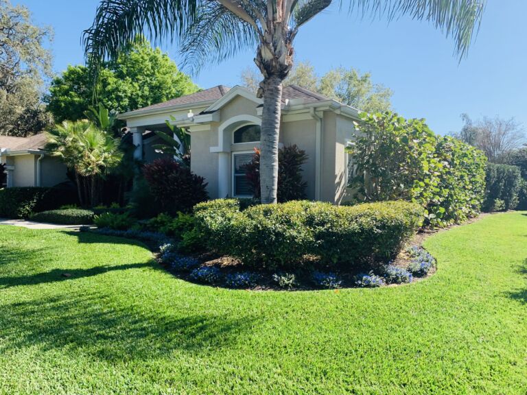 Best Oldsmar Lawn Care and Landscape