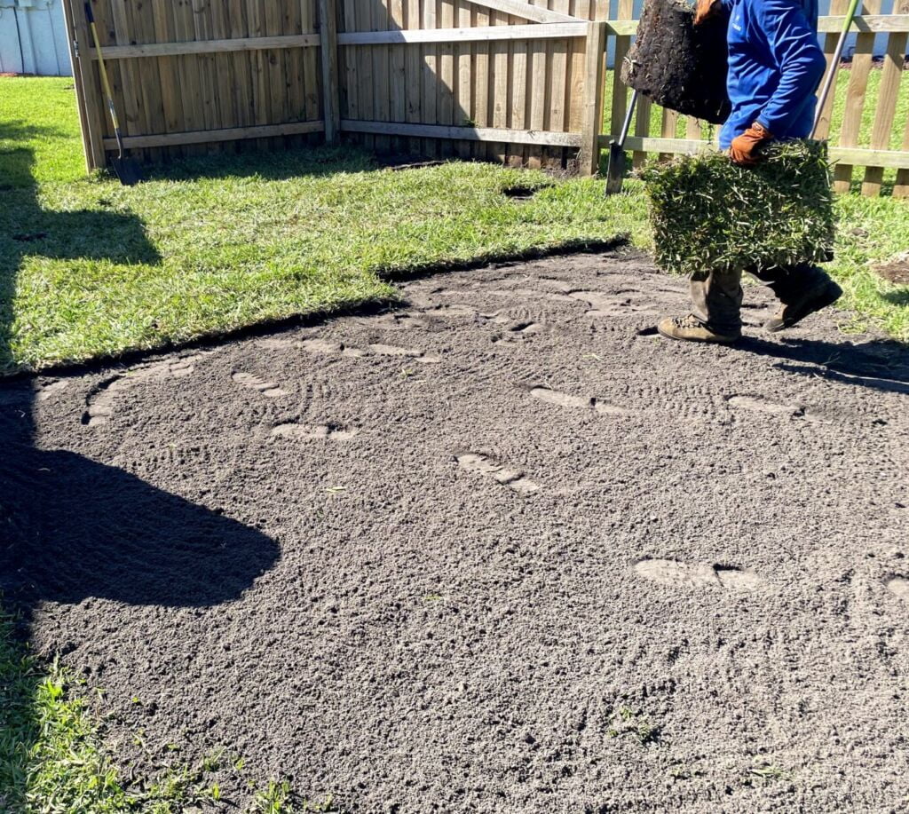 Tampa Bay Lawn Care & Landscaping | K&M Lawn Services
