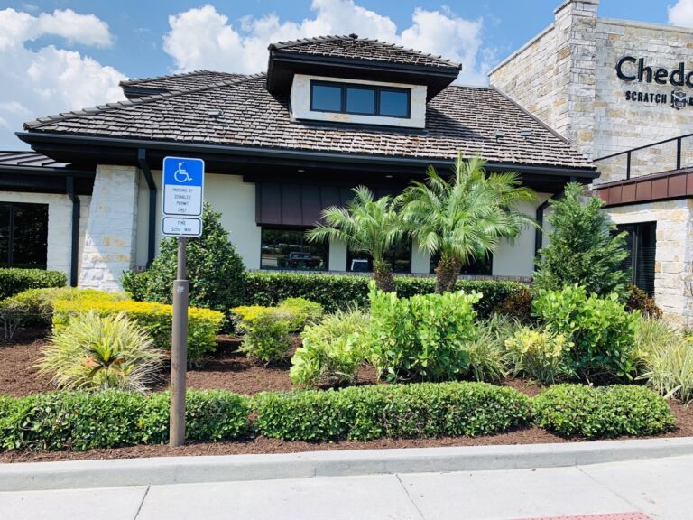 commercial landscaping services in Tampa