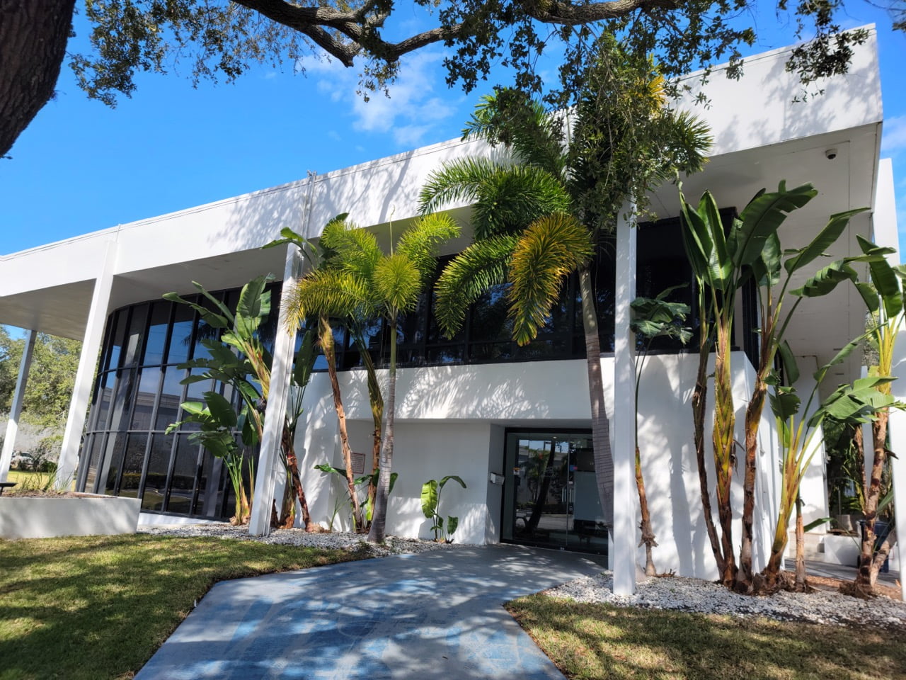 Tampa Bay Palm Tree Maintenance K&M Lawn Services