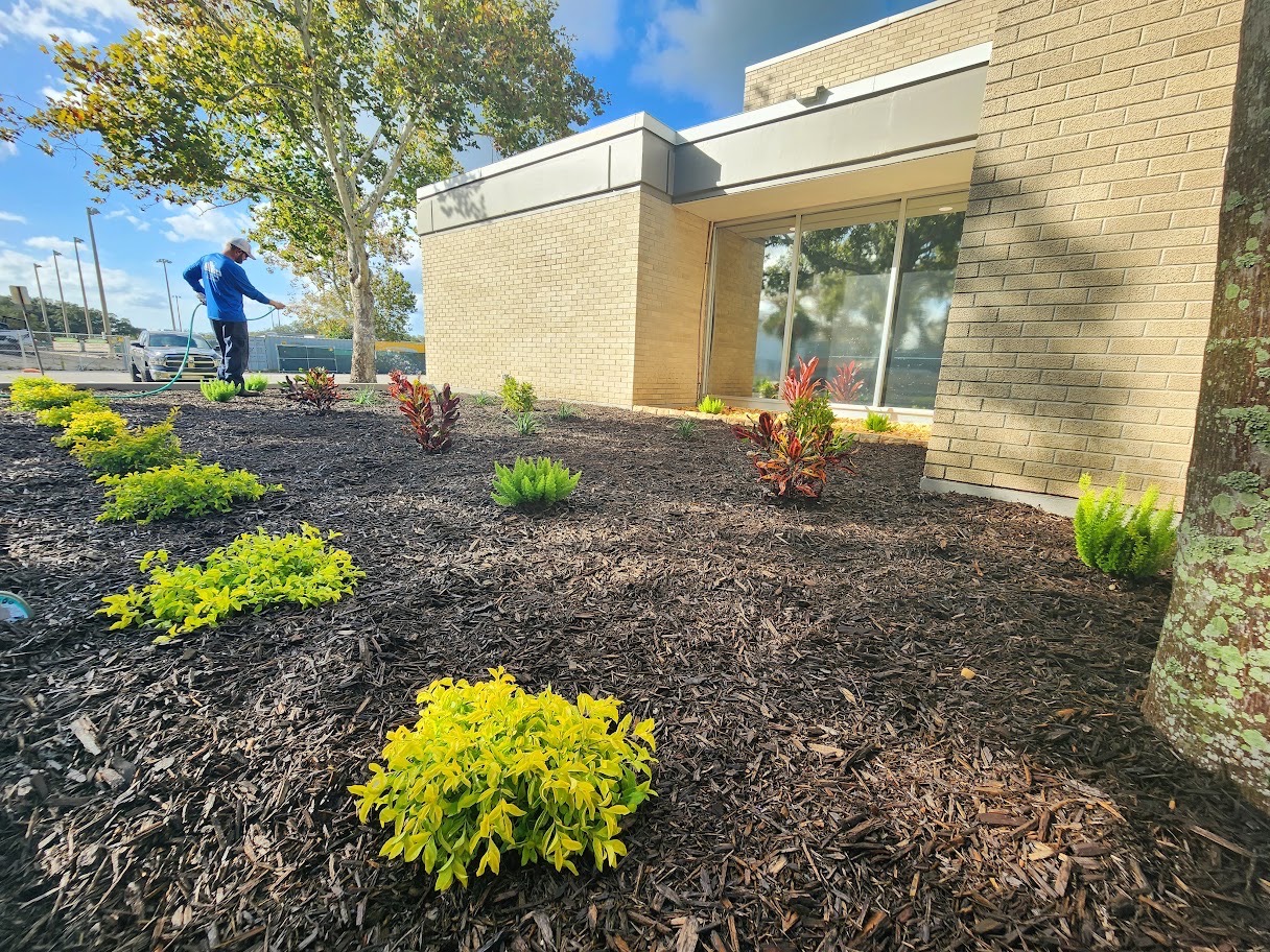 K&M Lawn Care Tampa